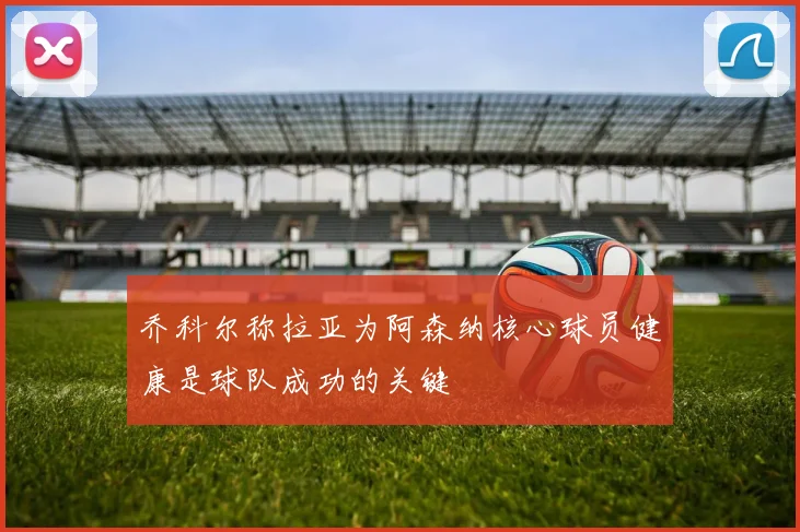 乔科尔称拉亚为阿森纳核心球员健康是球队成功的关键